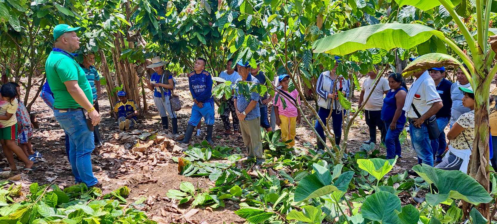 Productores Del Plan De Vinculación Territorial Putumayo Fase II5 AGROSAVIA