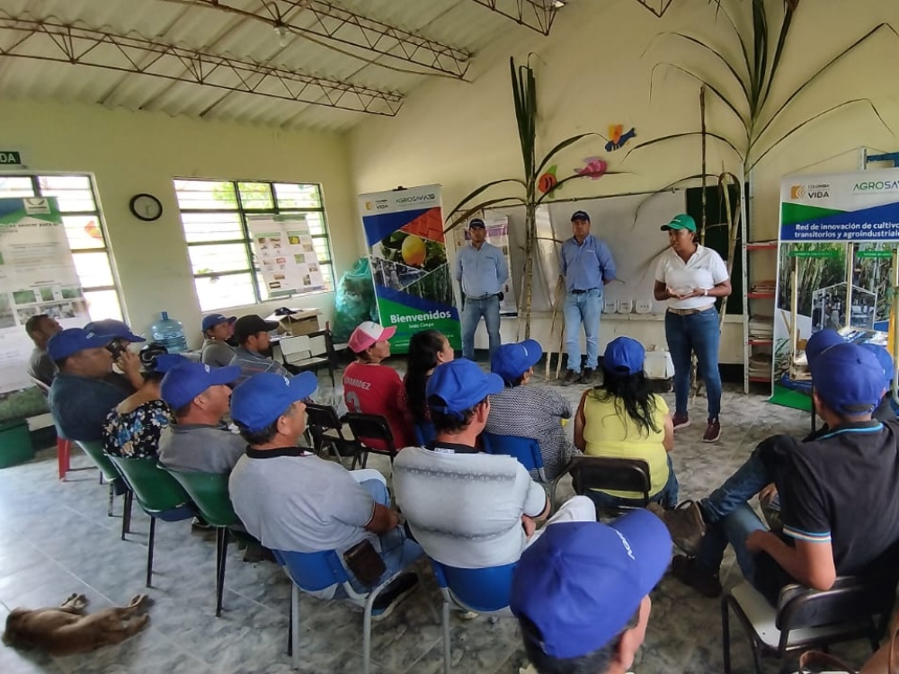 Cimpa al campo: Transformando la agroindustria panelera en Boyacá