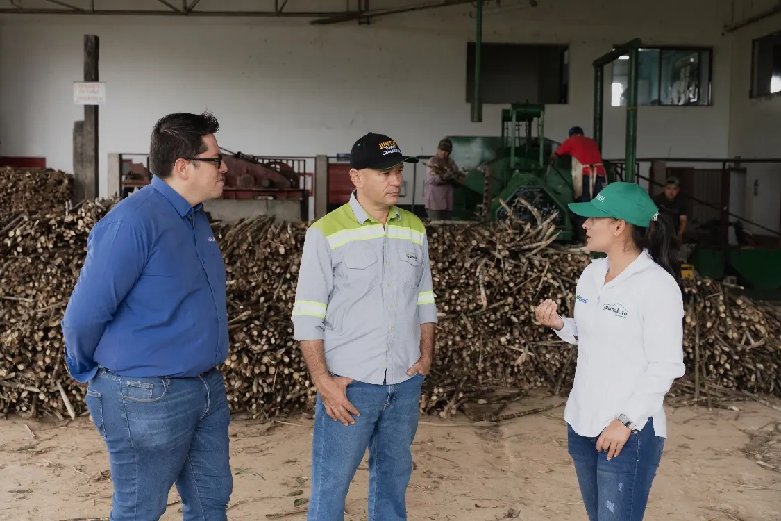 Alianza Entre AGROSAVIA Y Gramalote Colombia5 Fotor Webp