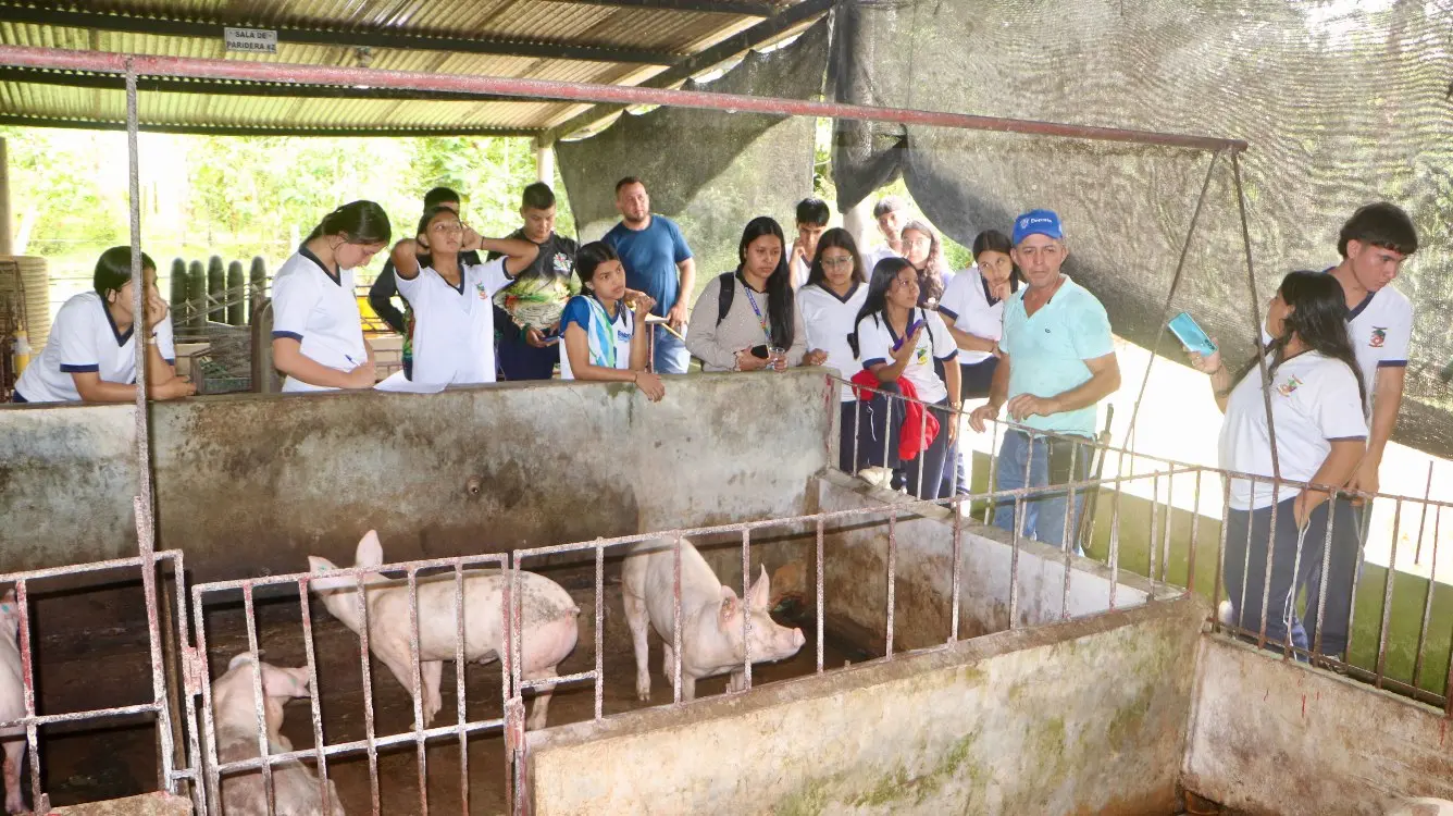Jóvenes Rurales Y Producción Porcícola4 Fotor Webp