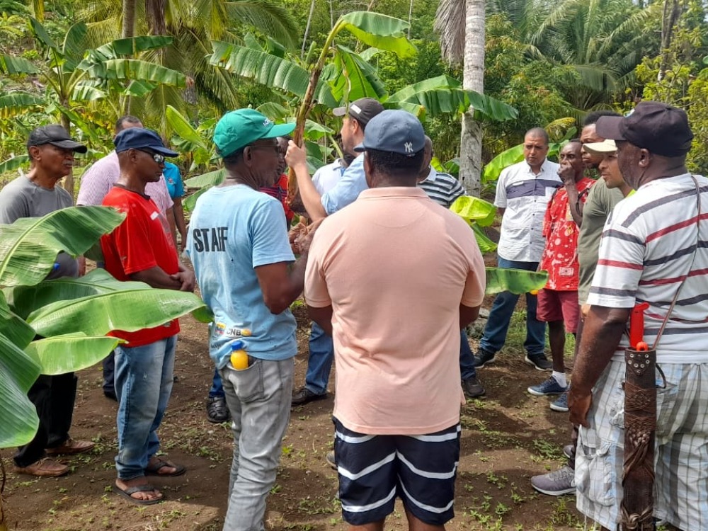PV San Andrés2 AGROSAVIA