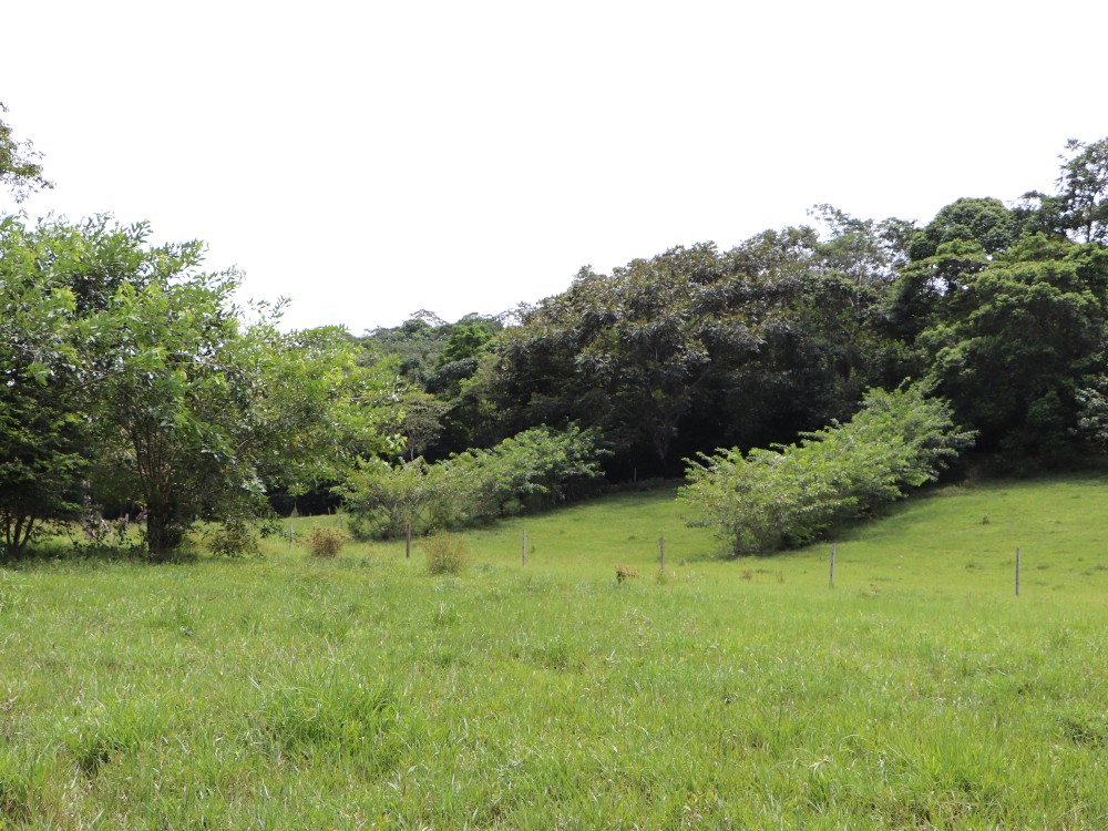 Fontagro3 AGROSAVIA