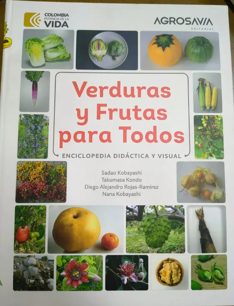 Enciclopedia4 Fotor Webp