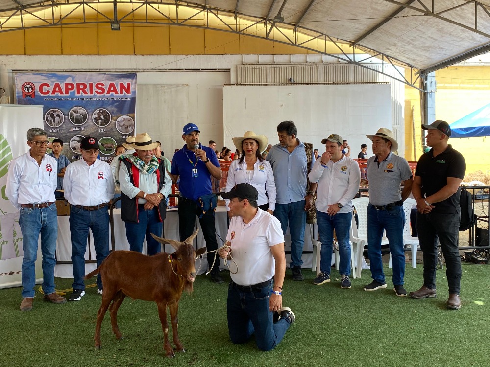Donación Cabra Santandereana2 AGROSAVIA