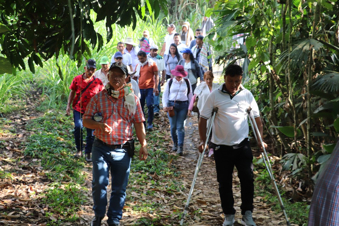Gira Técnica Aguacate Eje Cafetero4 AGROSAVIA