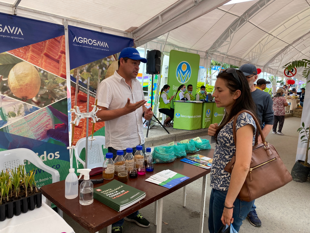 Tecnologías y servicios para las agroindustrias de la panela y el bocadillo