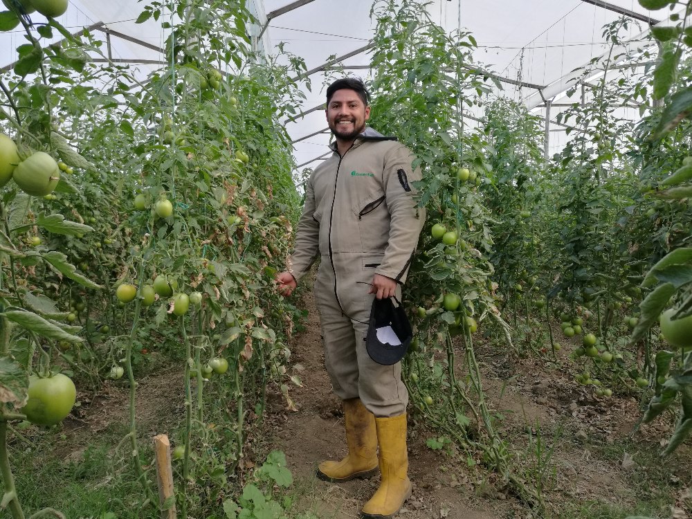 La Sede Tunja De AGROSAVIA, Aportando A La Agricultura Familiar Y La Seguridad Alimentaria De Boyacá5 AGROSAVIA