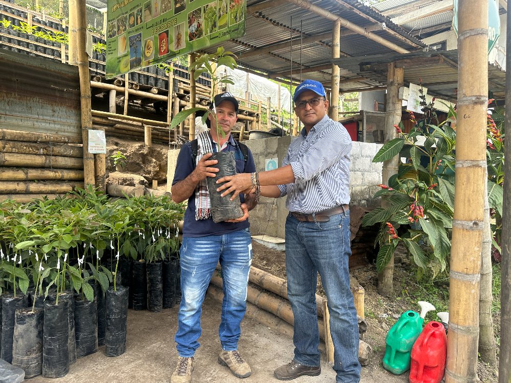 Agricultores De Herveo, Tolima Reciben Plántulas De Aguacate En El Marco Del Proyecto Apropiación Social Del Conocimiento4 AGROSAVIA