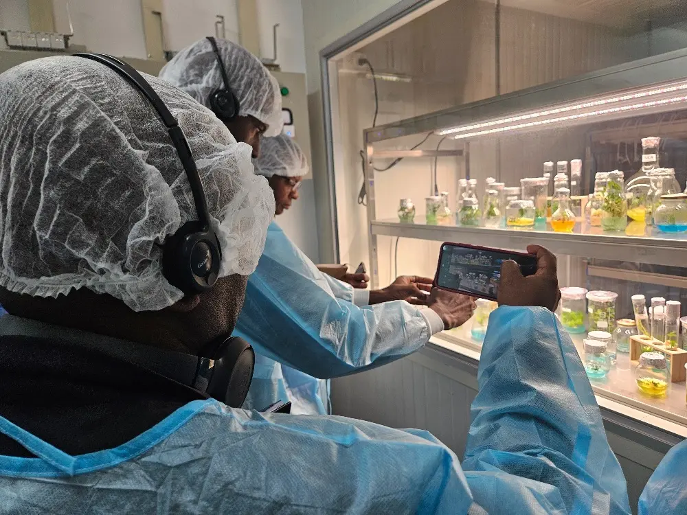 Intercambio De Experiencias Sobre Buenas Prácticas Agrícolas Para La Seguridad Alimentaria Entre Haití Y Colombia4 Fotor Webp