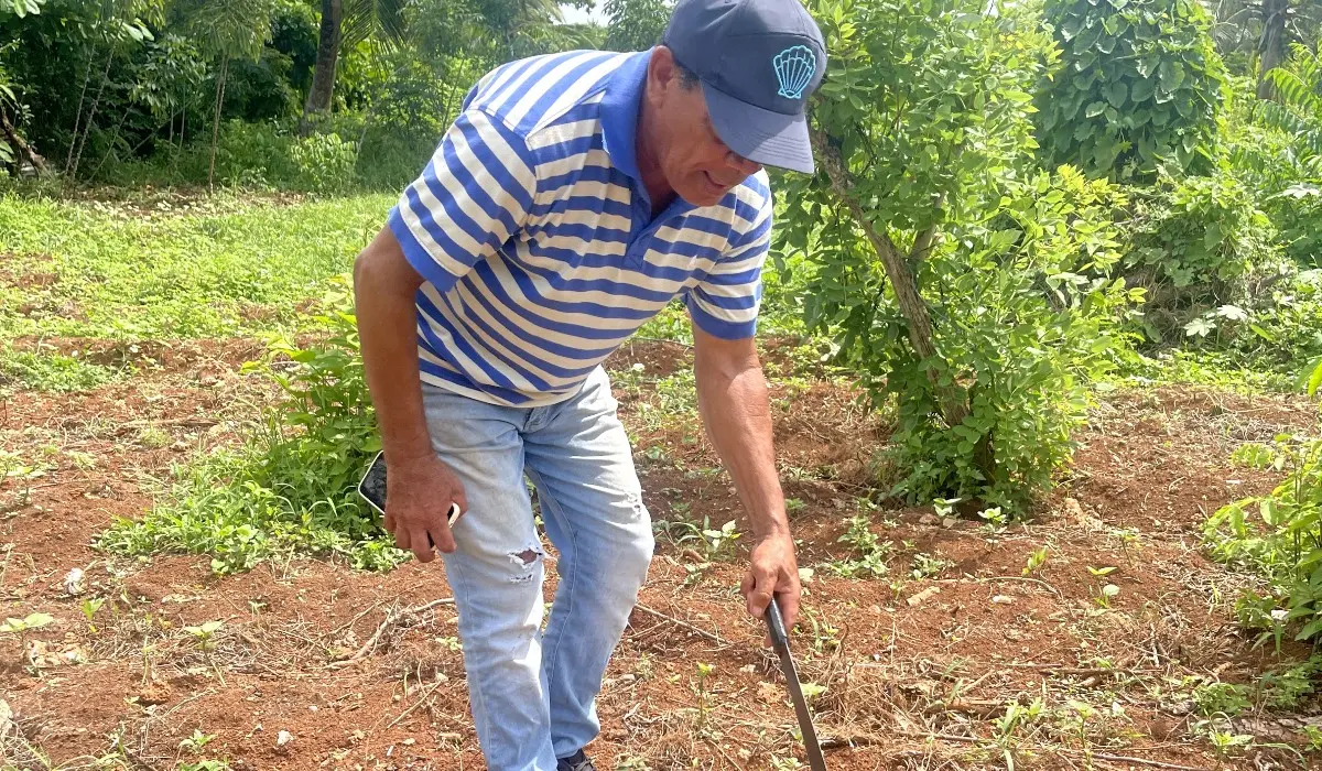 Img 6740 Fotor 20251229174917