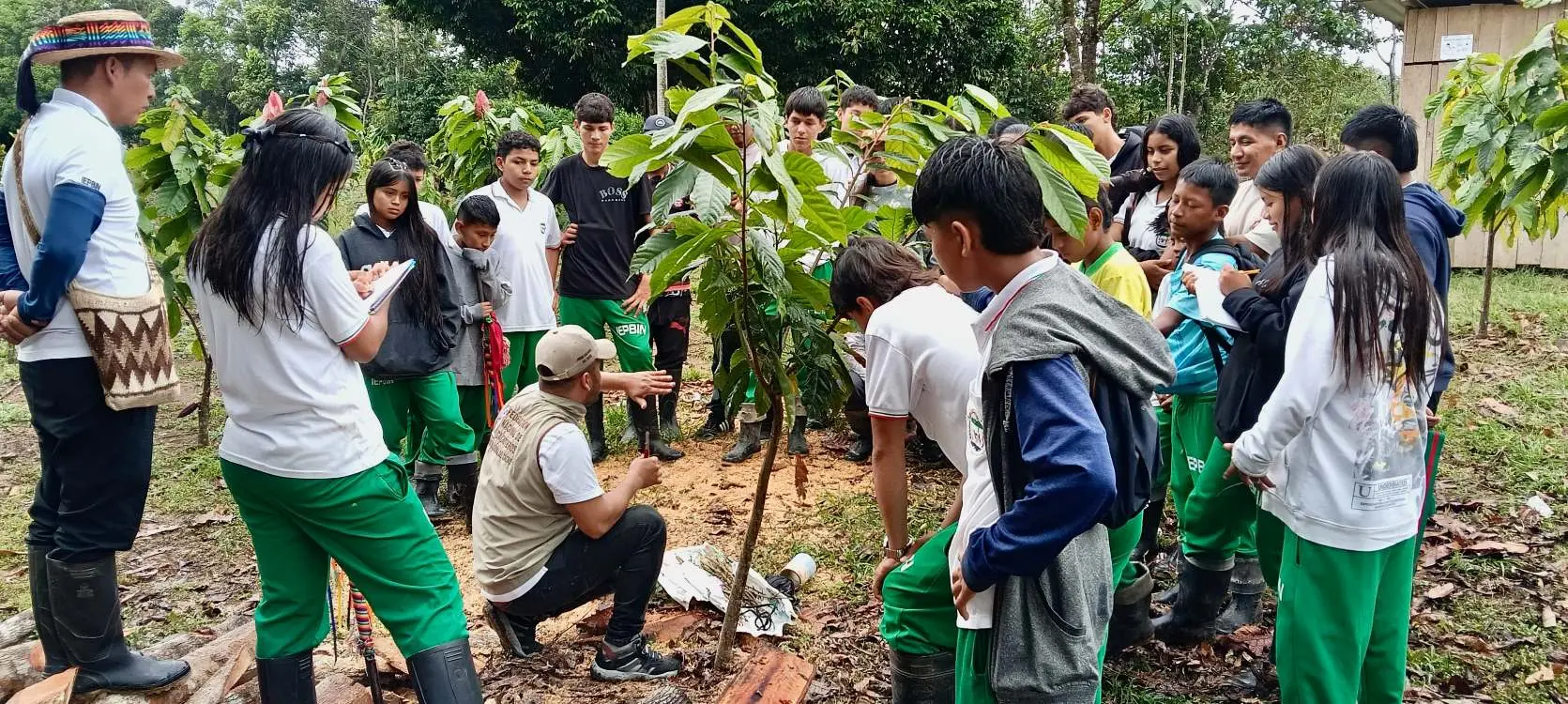 Cacao, Plátano, Meliponas Y Memoria Nasa4 Fotor Webp