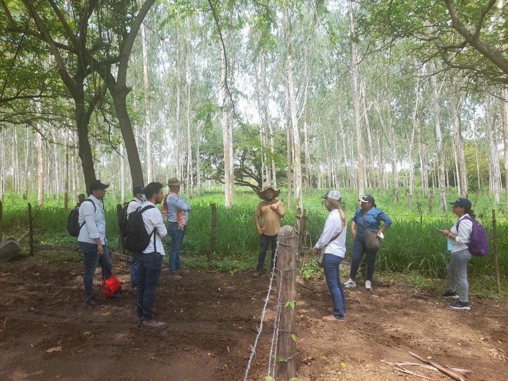 FEGACESAR visita  Motilonia y fortalece la alianza institucional con AGROSAVIA