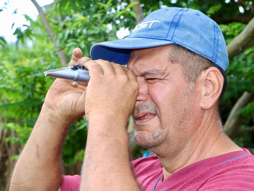 Evaluación Fitosanitaria E Índices De Madurez De La Variedad De Caña CC 93 7711, Una Práctica Participativa Con Los Productores En Caquetá3 AGROSAVIA