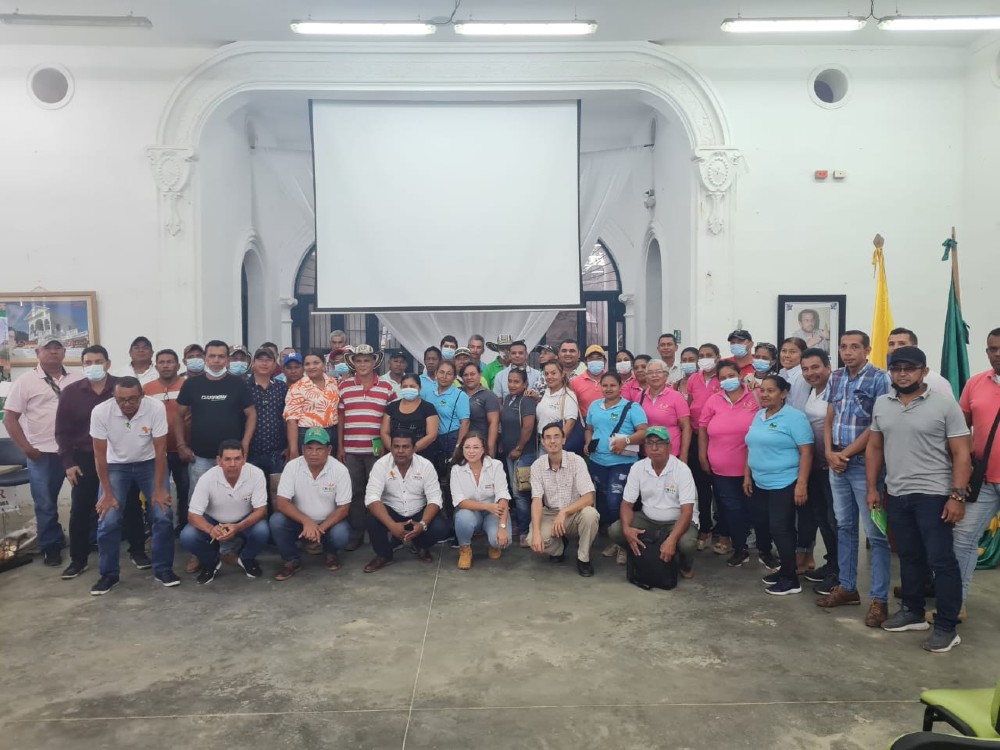 Plan YUCA PAÍS contribuye en el fortalecimiento de las capacidades de negociación de los productores de yuca industrial en el Caribe colombiano