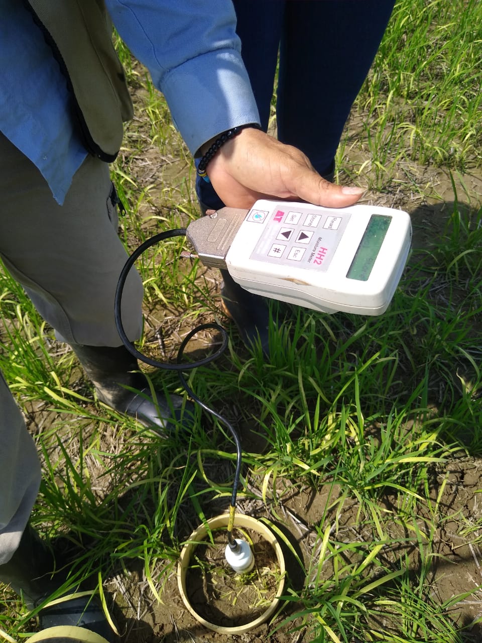 Whatsapp Image 2025 04 29 At 4.01.16 PM (1)