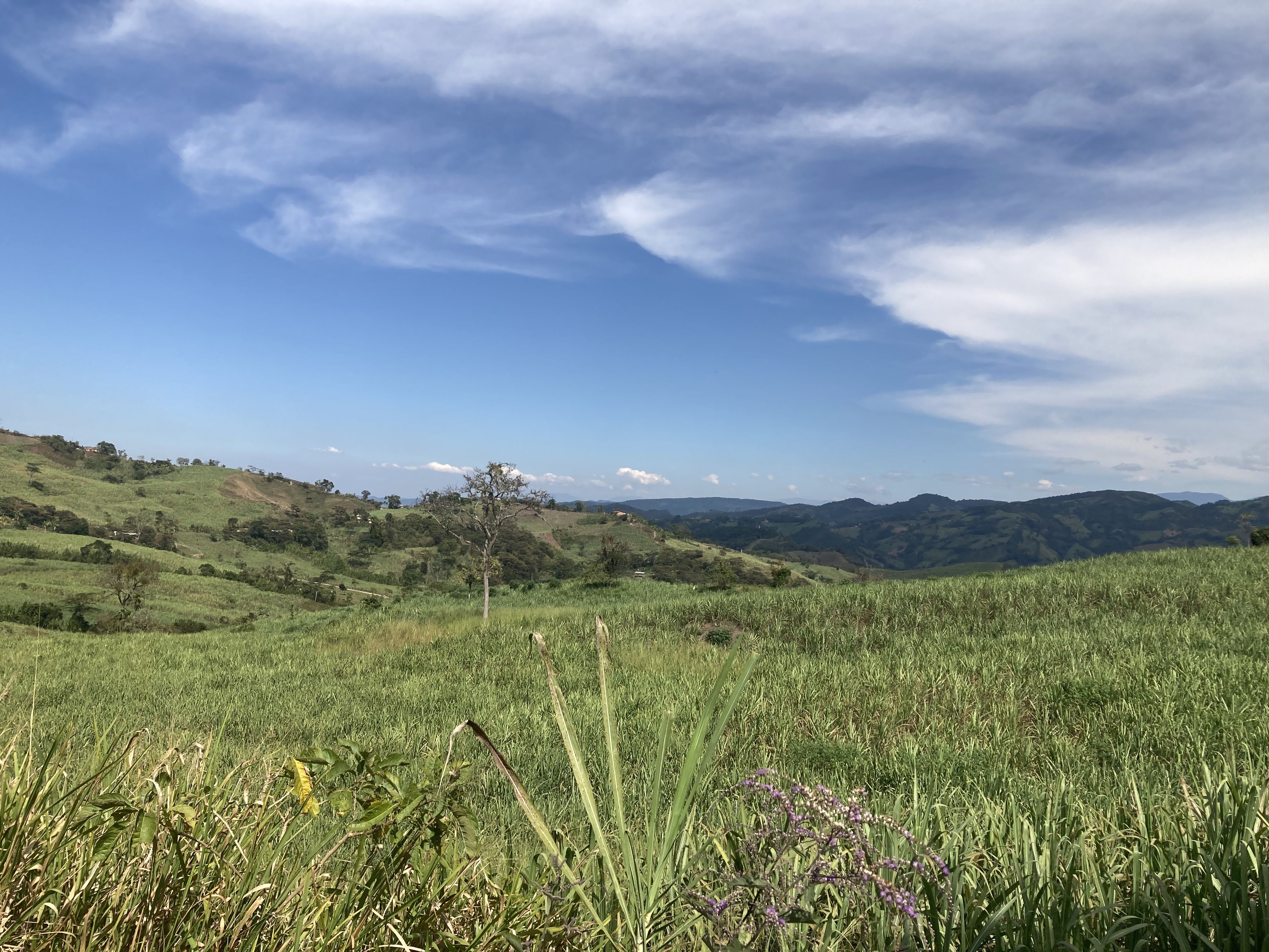 Panoramica HRS N Barreto 2024