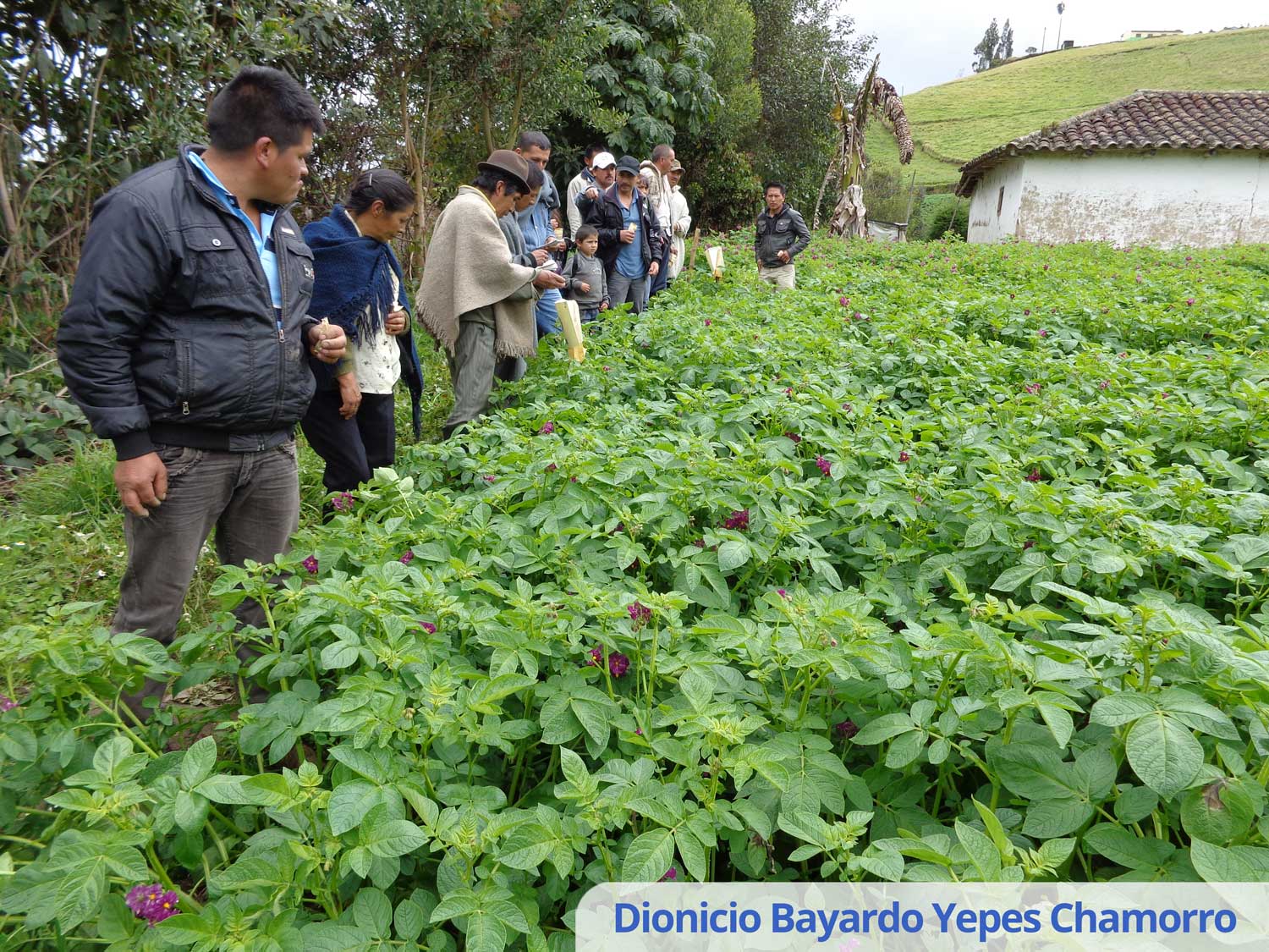 Dionicio Bayardo Yepes Chamorro 2 (1)