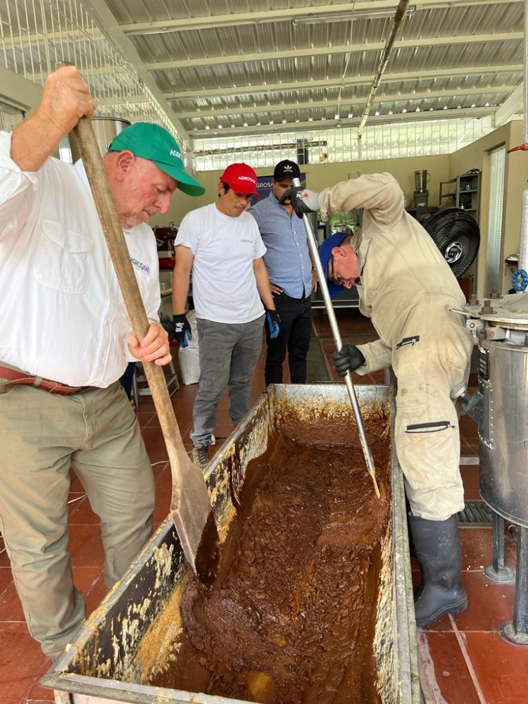 Evalaución Caña5 AGROSAVIA