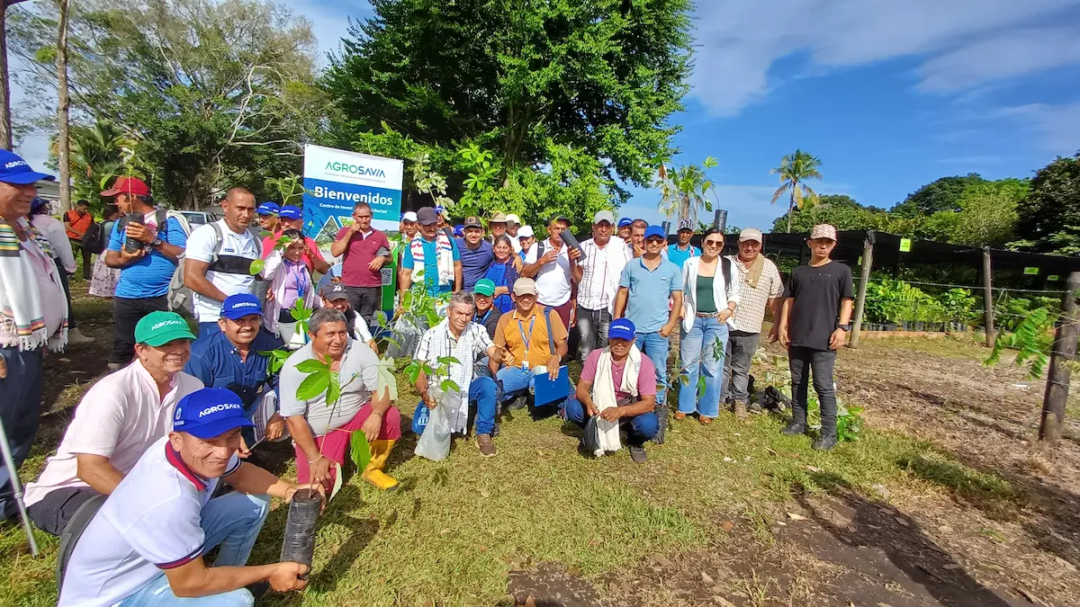 Ganadería sostenible en la zona de influencia del Parque Nacional Natural Sierra de La Macarena. 