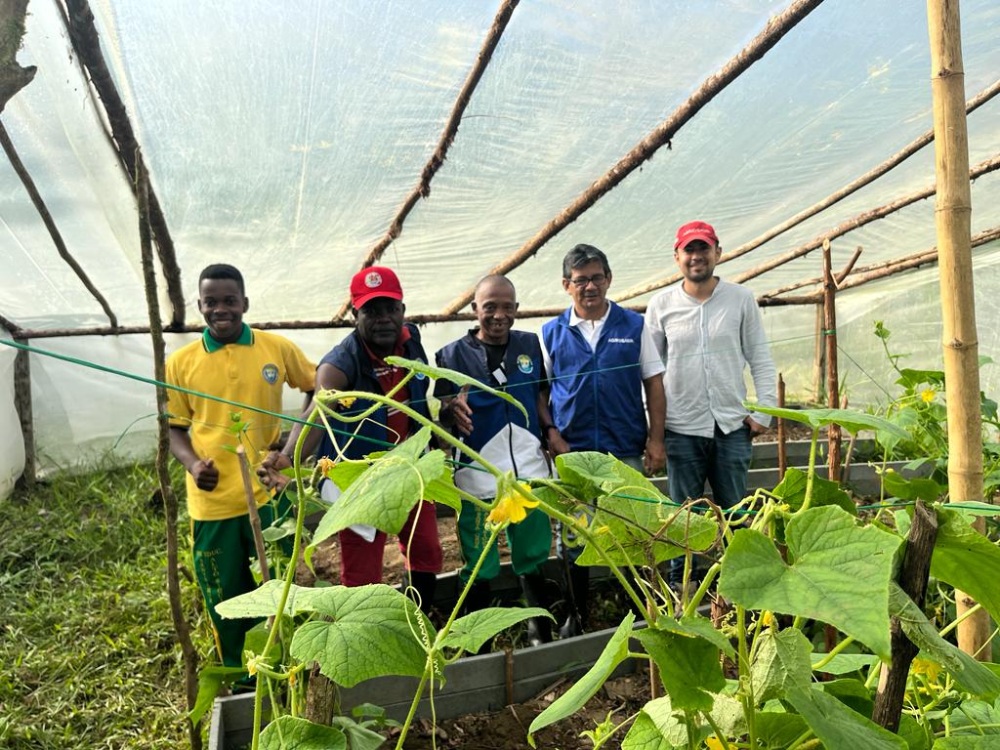 Relato De La Colombia Profunda Desde El Proyecto Jóvenes Rurales En López De Micay7 AGROSAVIA