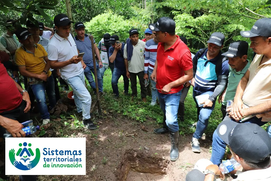 Productores Del Catatumbo Fortalecen Con AGROSAVIA Su Conocimiento En Cacao4 Fotor Webp