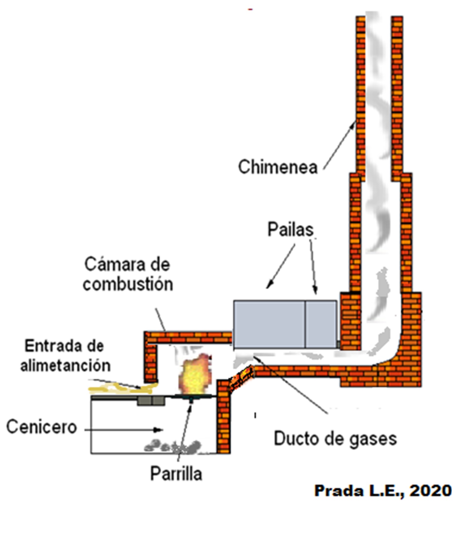 Luz Esperanza Prada (1)