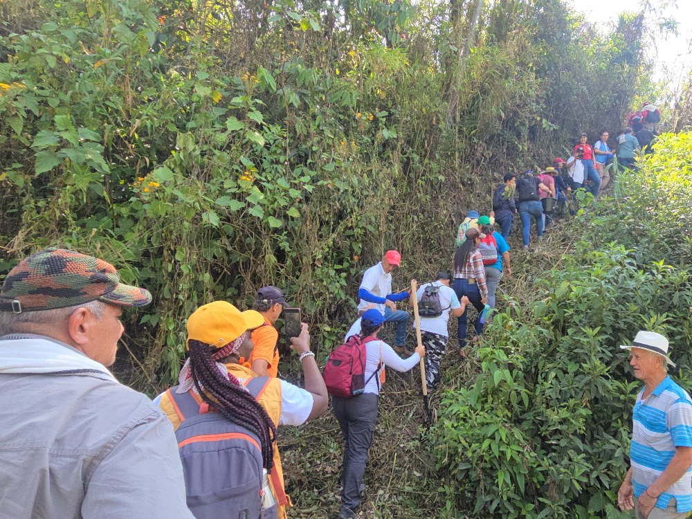 La Gobernanza Y La Seguridad Alimentaria En Carmen De Atrato Se Fortalece Con Alianza Entre El Ministerio De Agricultura,AGROSAVIA Y El PNUD7 AGROSAVIA