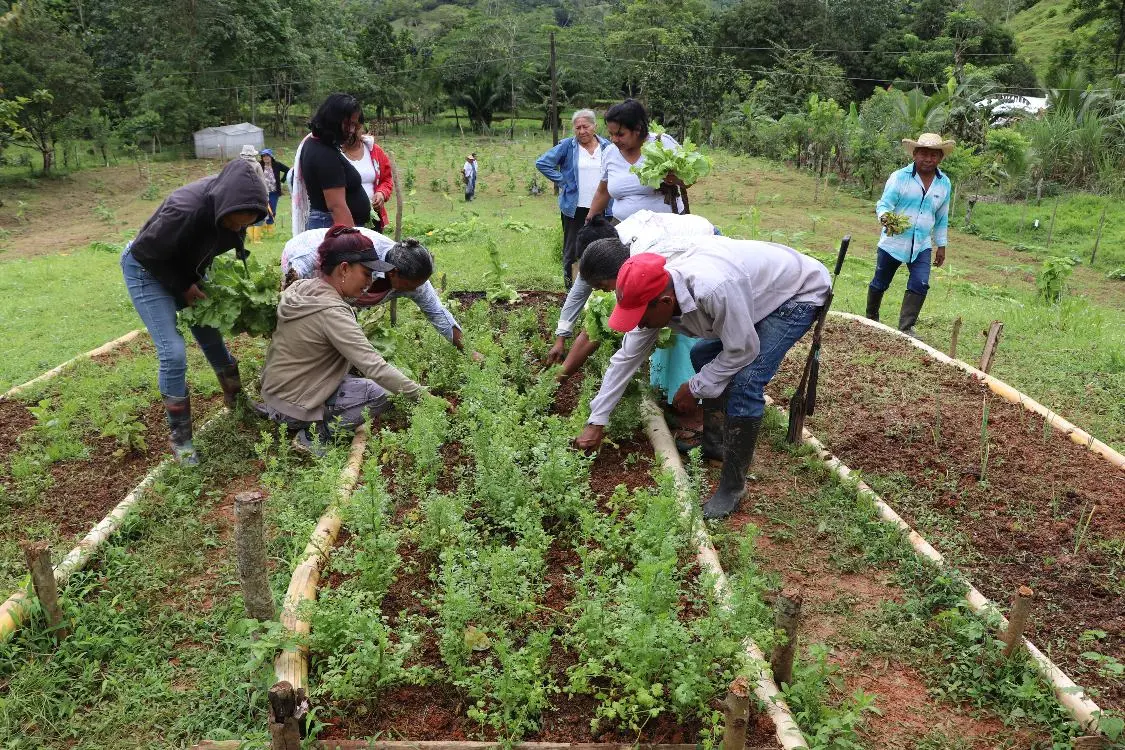 Sistemas Agroalimentarios3 Fotor Webp