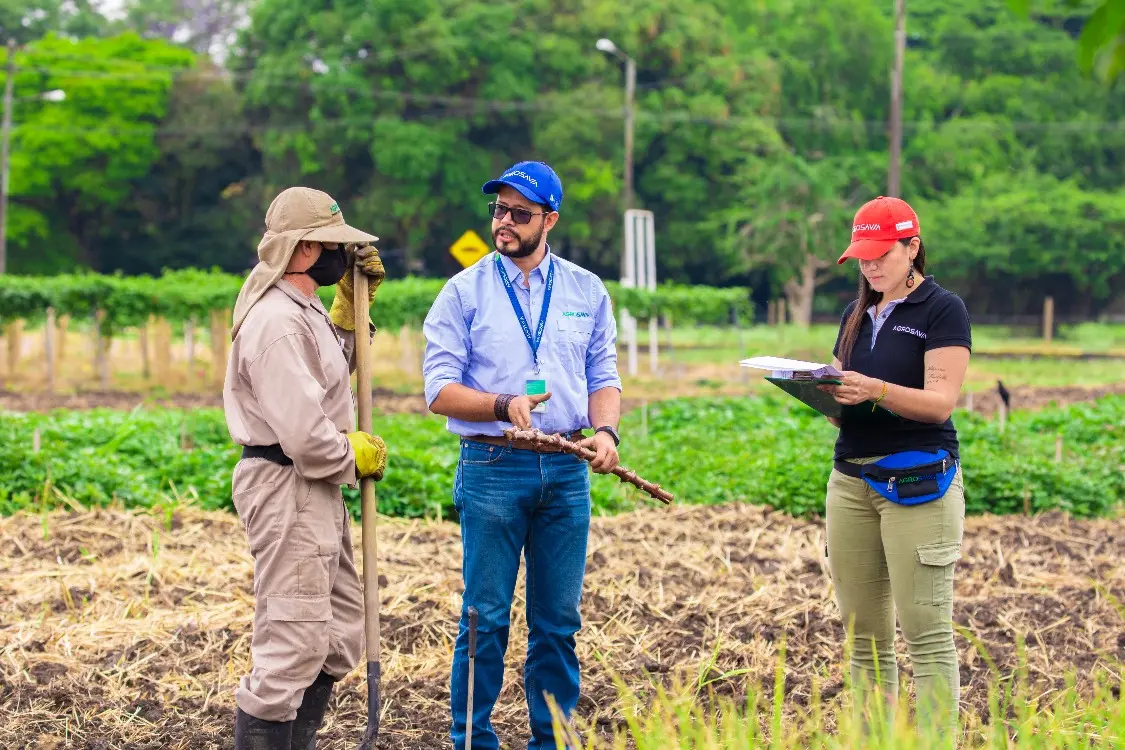 AGROSAVIA Lanzará El Micrositio AGROSAVIA Actualiza La Extensión Agropecuaria3 Fotor Webp