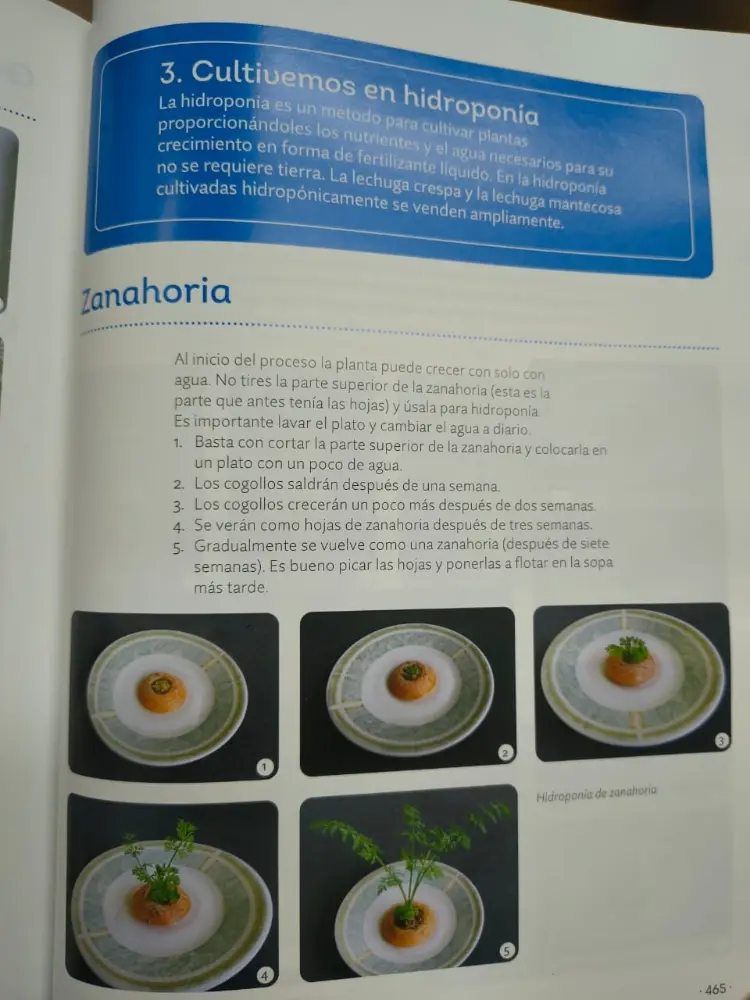 Enciclopedia2 Fotor Webp