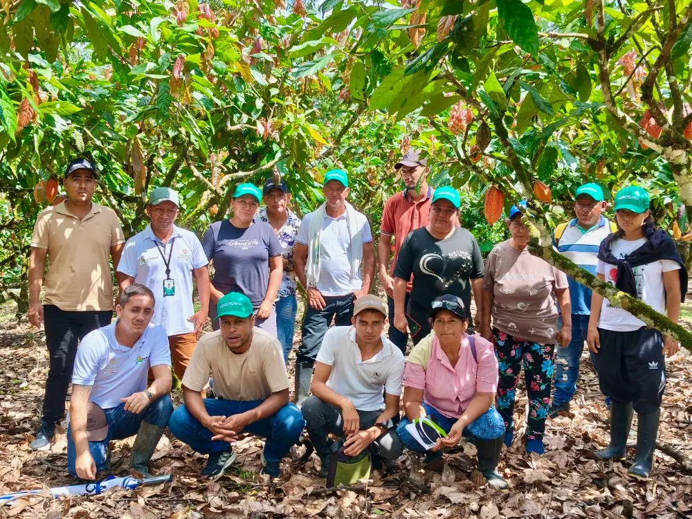 Cacao, plátano, meliponas y memoria Nasa
