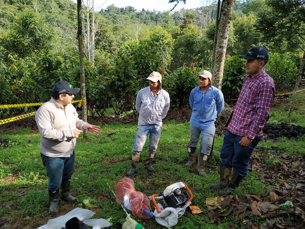 Disponible revolucionario servicio para diagnosticar cadmio en cultivos cacaoteros