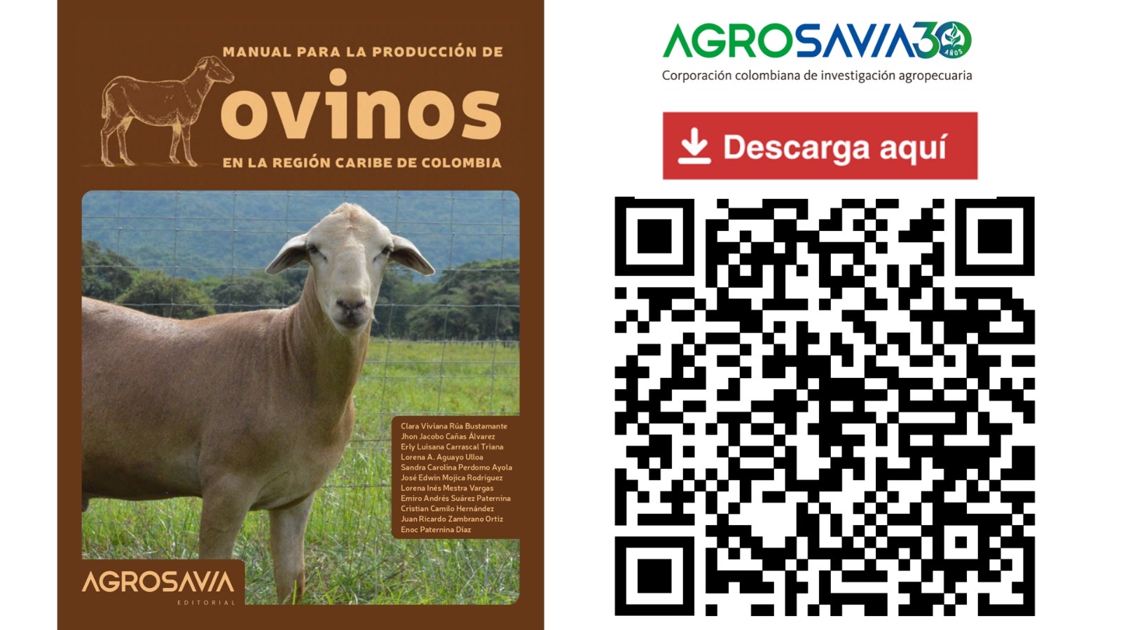 Technological recommendations for meat sheep production in the Caribbean: recent editorial production of AGROSAVIA