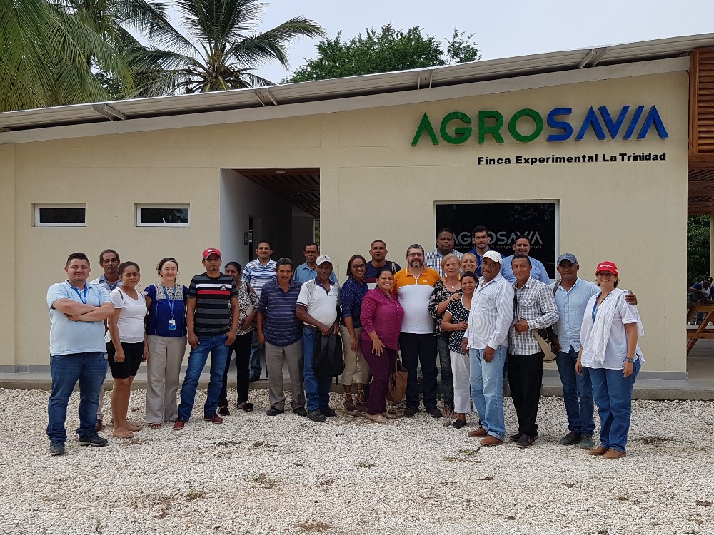 El desarrollo agropecuario sostenible demanda territorios innovadores y socioecológicamente resilientes