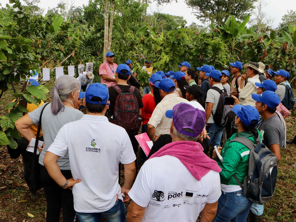 PV Territorial Putumayo3 AGROSAVIA