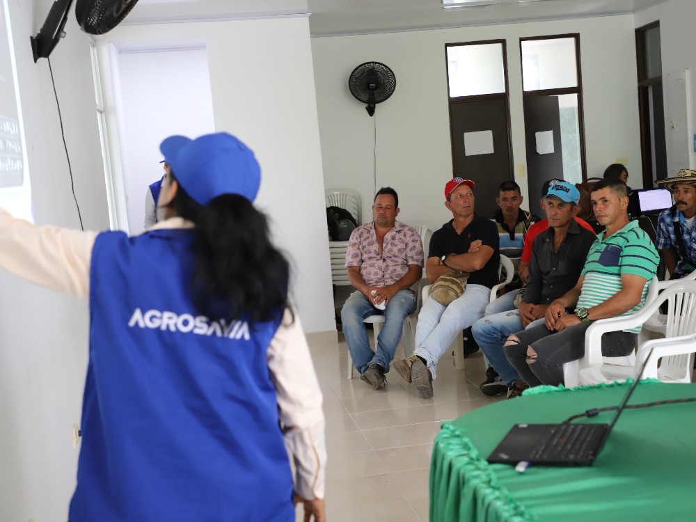 AGROSAVIA Presentó Resultados Parciales De Proyecto En Cebolla Para Norte De Santander4 AGROSAVIA