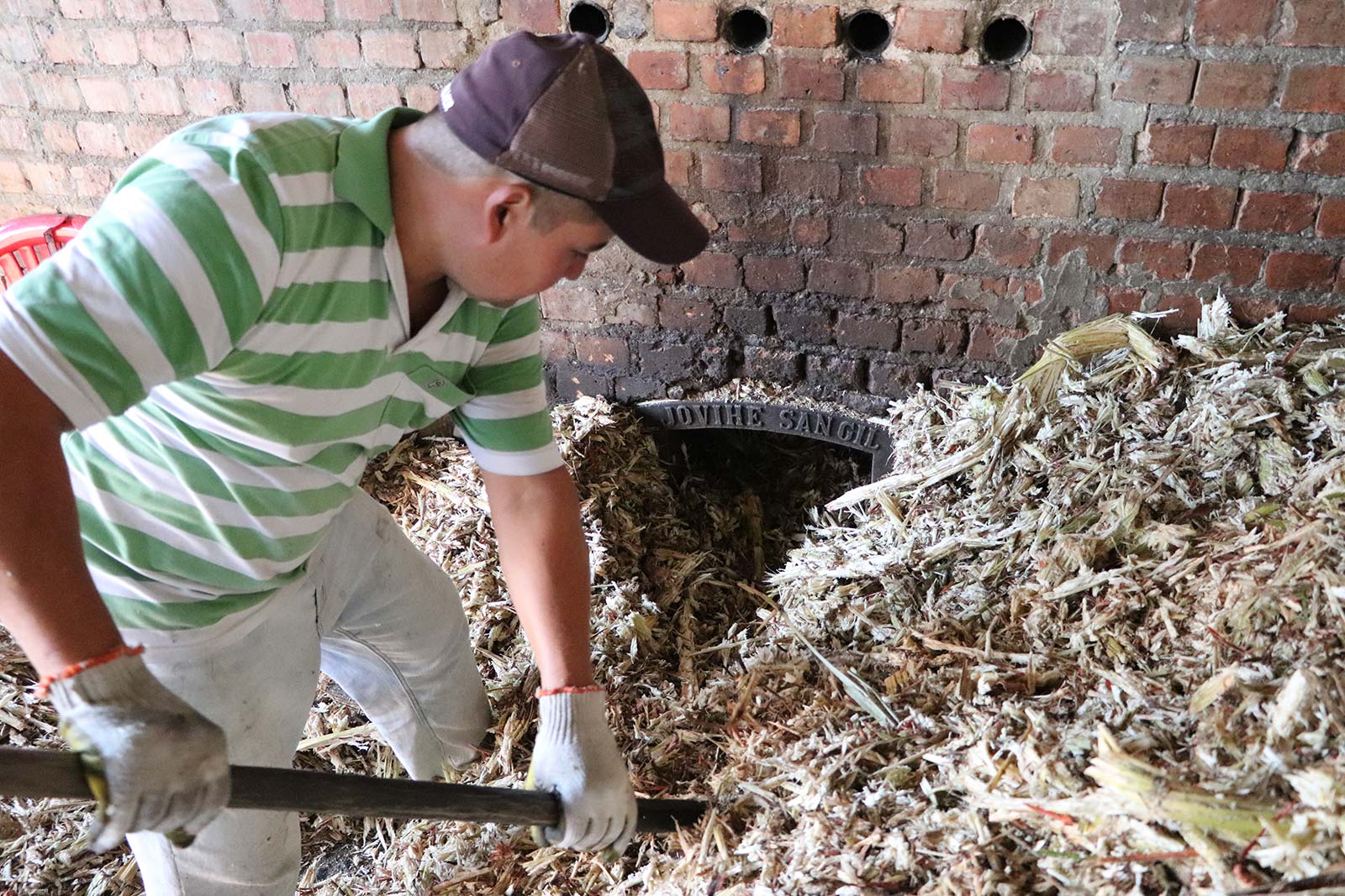 5.2.Alimentación Bagazo Hornilla (1)