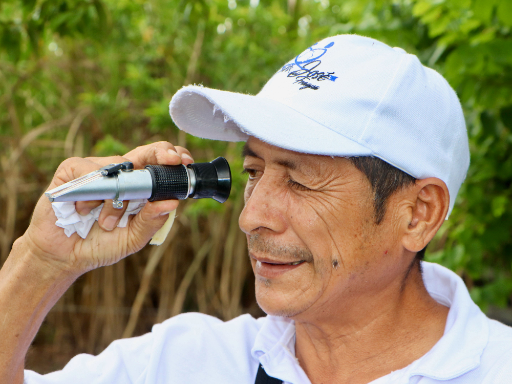 Evaluación Fitosanitaria E Índices De Madurez De La Variedad De Caña CC 93 7711, Una Práctica Participativa Con Los Productores En Caquetá2 AGROSAVIA