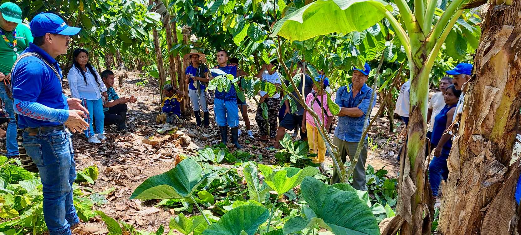 Productores Del Plan De Vinculación Territorial Putumayo Fase II6 AGROSAVIA