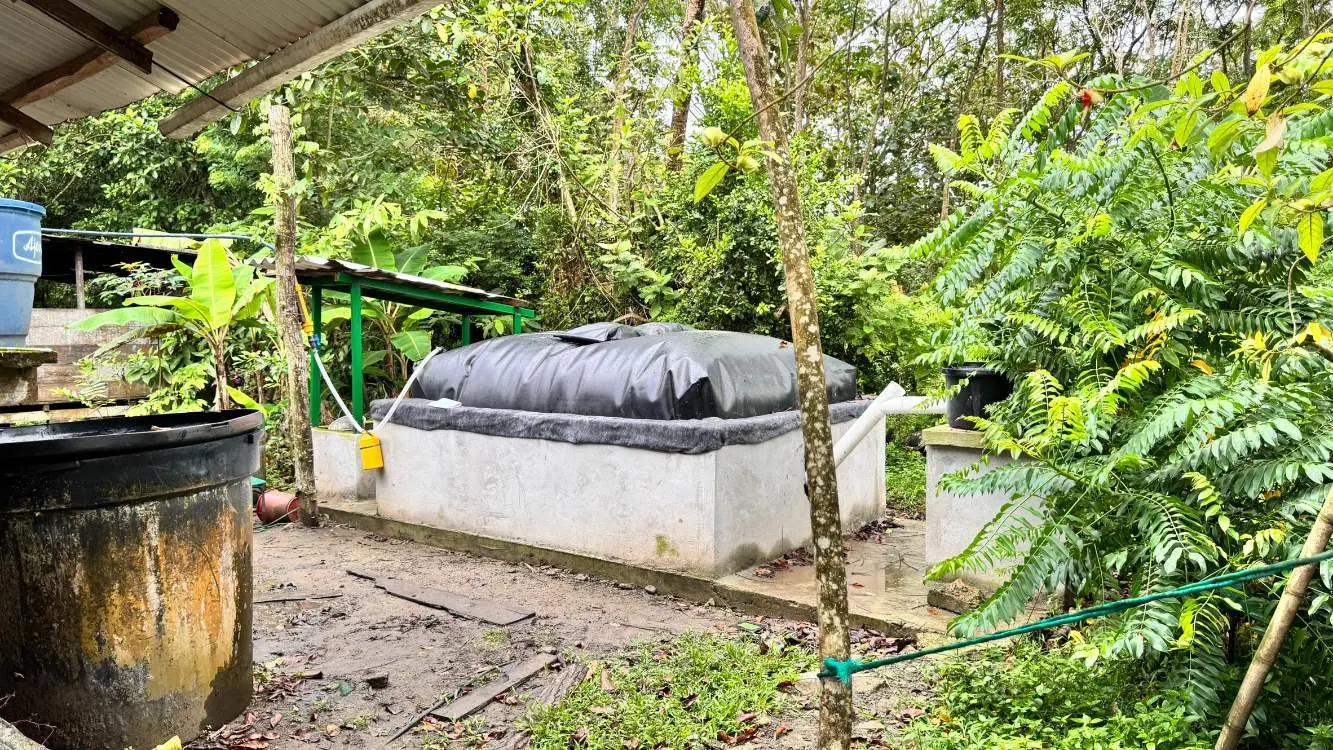 Jovenes Rurales Mira2 Fotor Webp