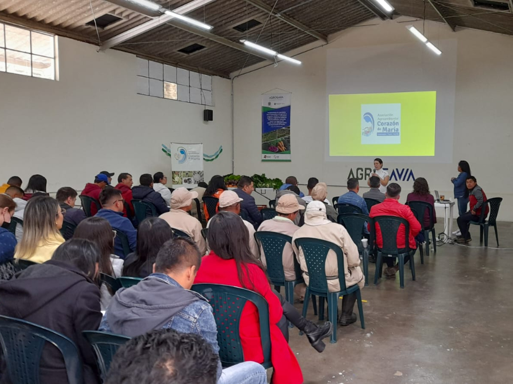 Saberes Y Sabores Guachucal4 AGROSAVIA