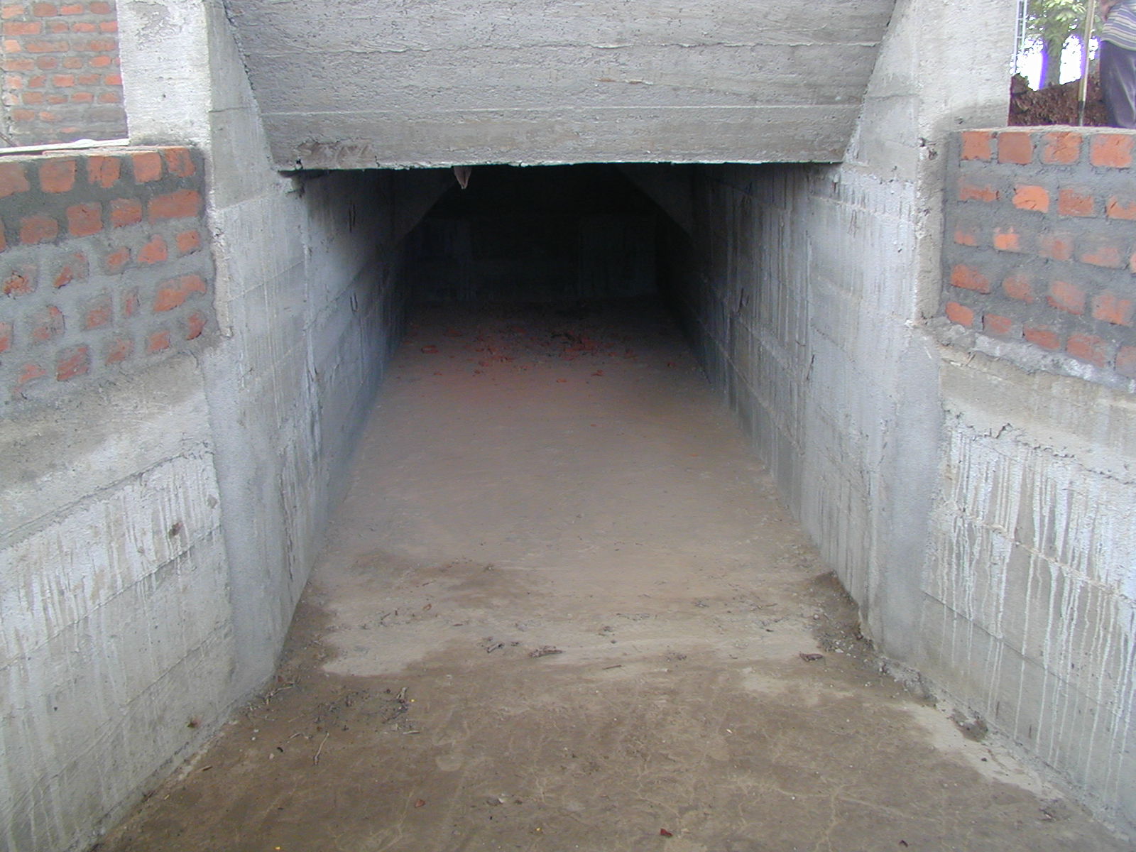 Banco De Imágenes AGROSAVIA (6)