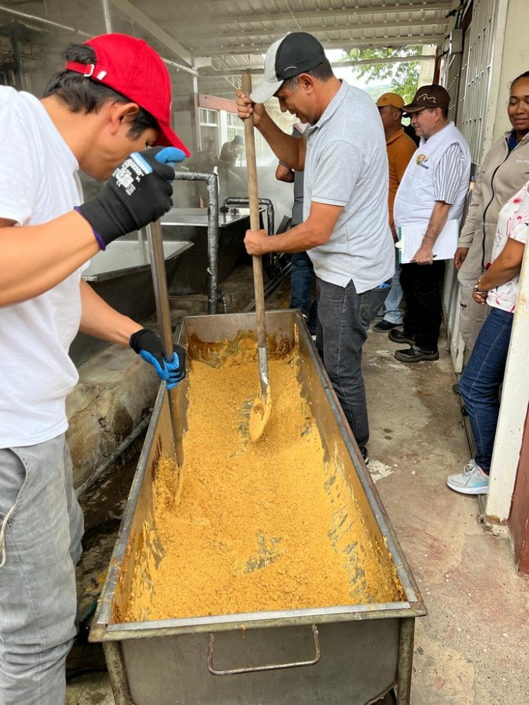 Evalaución Caña4 AGROSAVIA