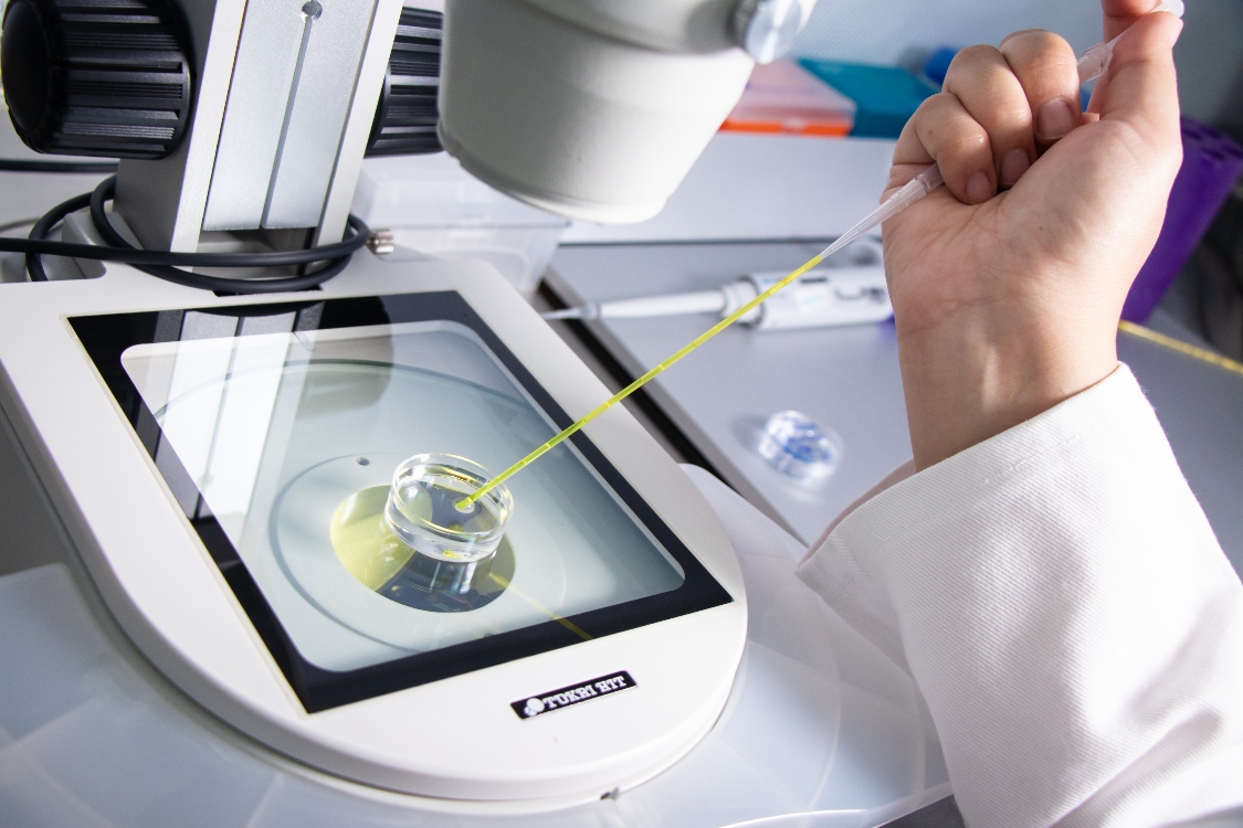 AGROSAVIA en alianza con otras instituciones ofertará 40 becas doctorales para fortalecer la Ciencia en Boyacá, Santander y Norte de Santander