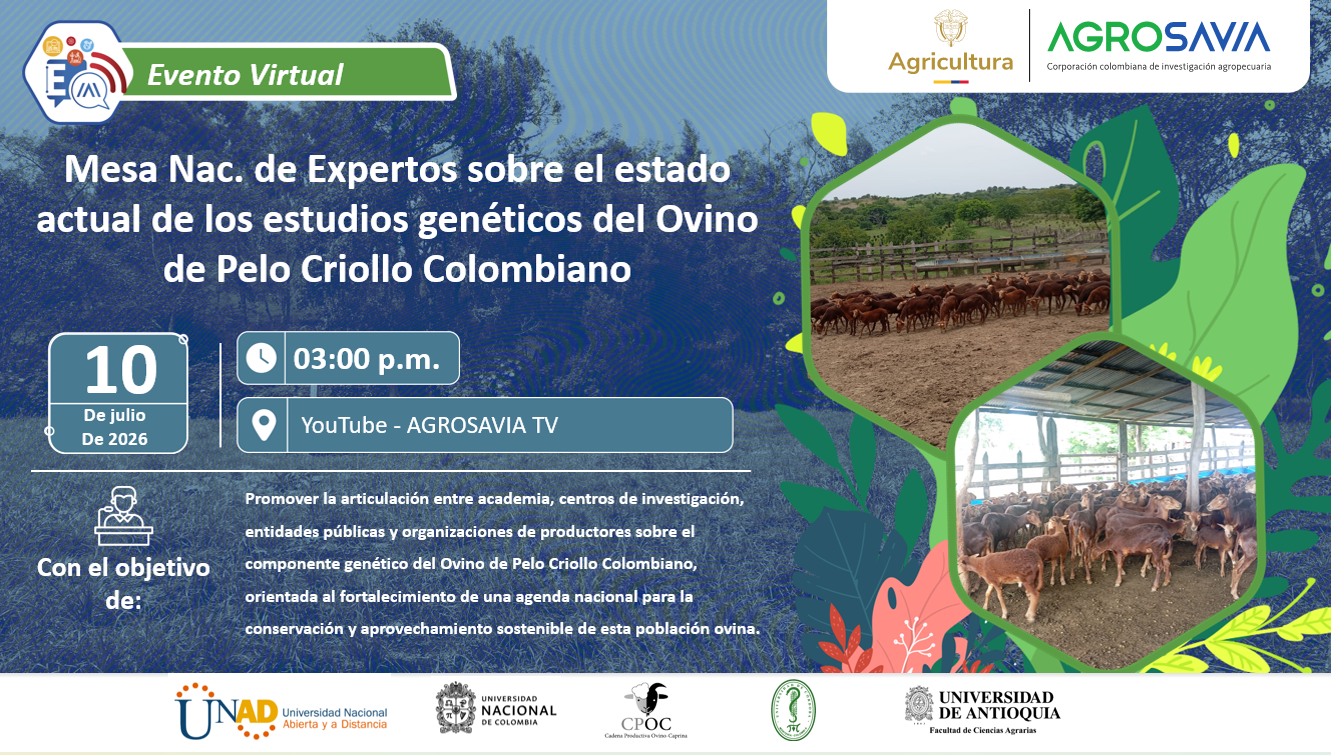 Evento 10 julio