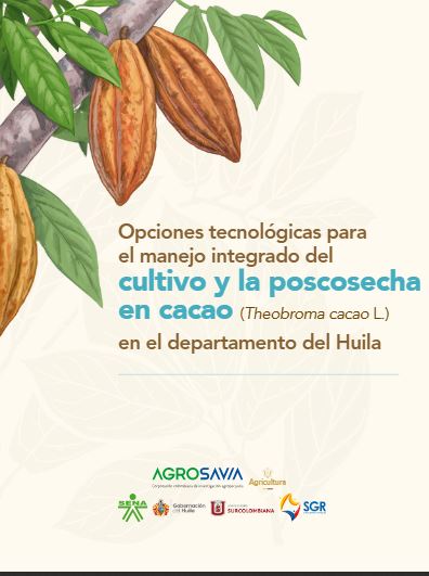 Cacao