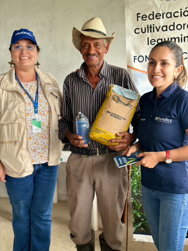 Semillas De Esperanza Pequeños Productores De Mesetas Reciben Un Impulso Para El Cultivo Del Maíz4 AGROSAVIA