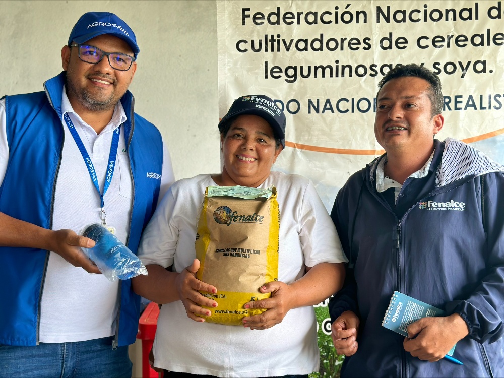 Semillas De Esperanza Pequeños Productores De Mesetas Reciben Un Impulso Para El Cultivo Del Maíz5 AGROSAVIA