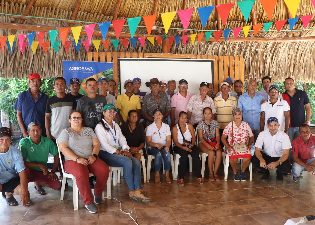 AGROSAVIA Impulsa Variedades De Berenjena En Magdalena Y Atlántico4 AGROSAVIA