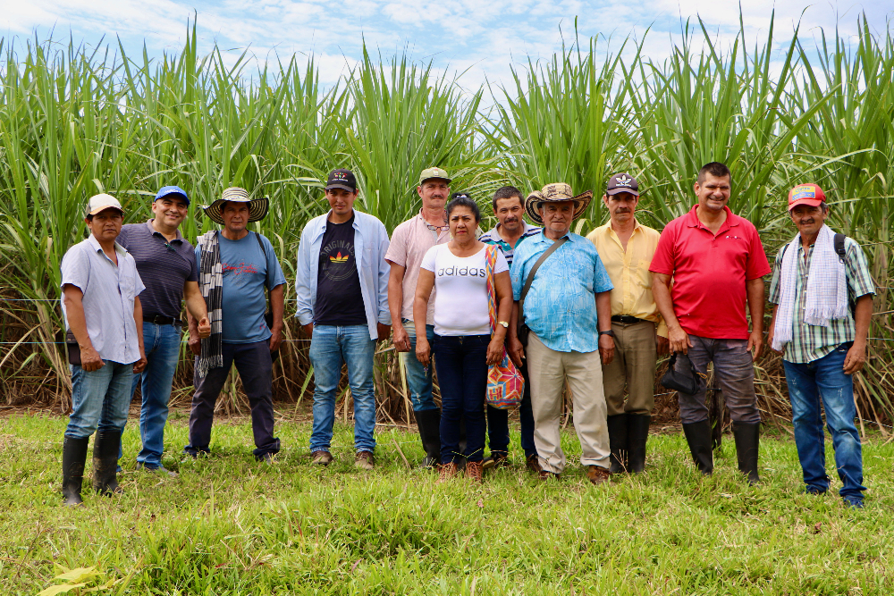 AGROSAVIA fortalece capacidades de productores paneleros
